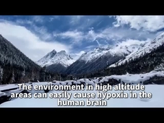 プラトー拡散酸素発生器